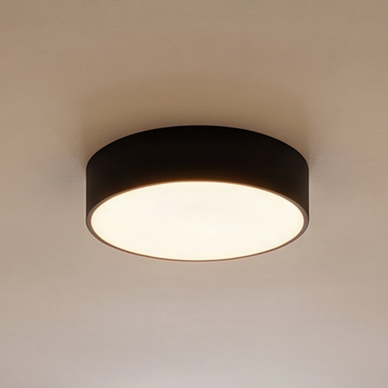 TEMAR LIGHTING Cleo stropna svjetiljka, Ø 30 cm, IP20, crna, metalna, E27 - Dnevni boravak/blagovaonica - Moderan
