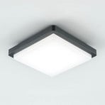 EVN LED ulkokattovalaisin Tectum, 23x23 cm, antrasiitti, 150°