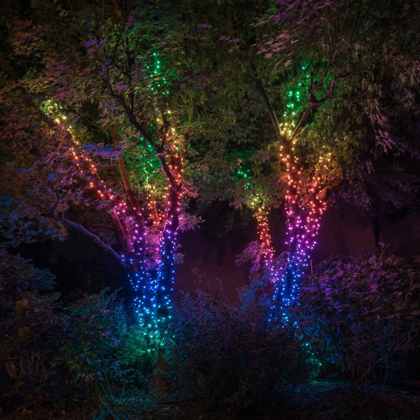 Valoketju Twinkly RGB, musta, 600-lamppuinen, 48 m