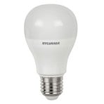 LED bulb E27 4.9W 865 matt