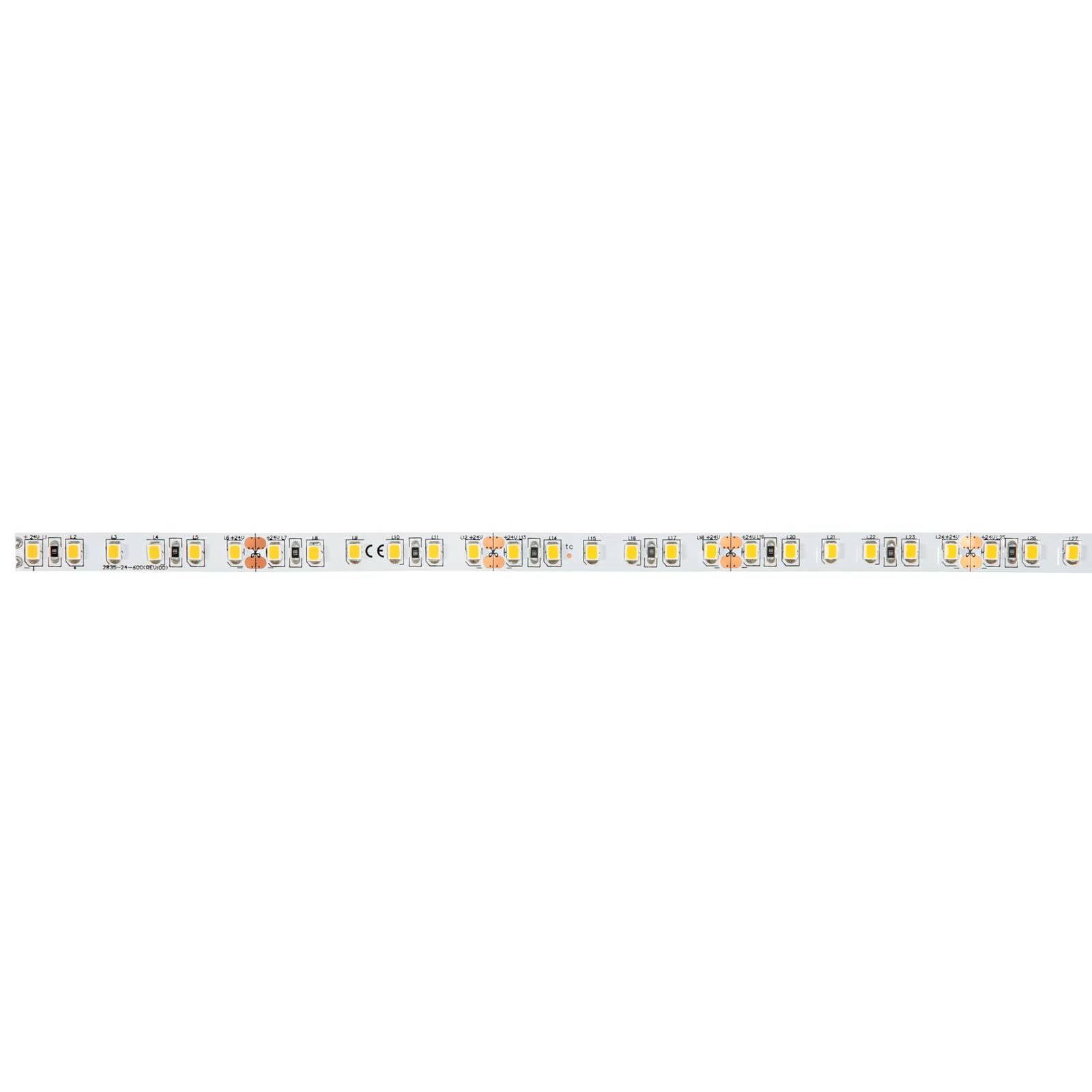 BRUMBERG ruban LED QUALITYFLEX ONE 14,4 W/m 2 700 K Longueur 5 m
