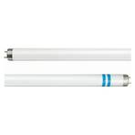 G13 T8 fluorescent bulb with shatter protection