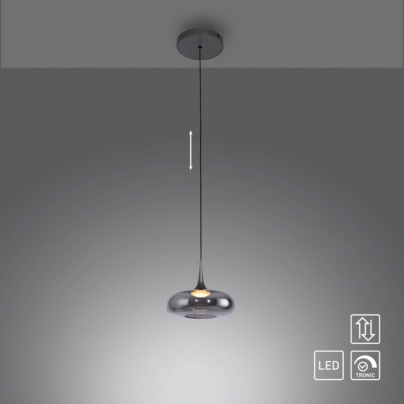 Schöner Wohnen LED-visoka svetilka Posh 1-fl., dimno steklo, 3.000 K Schöner Wohnen LED-visoka svetilka Posh 1-fl., dimno steklo, 3.000 K