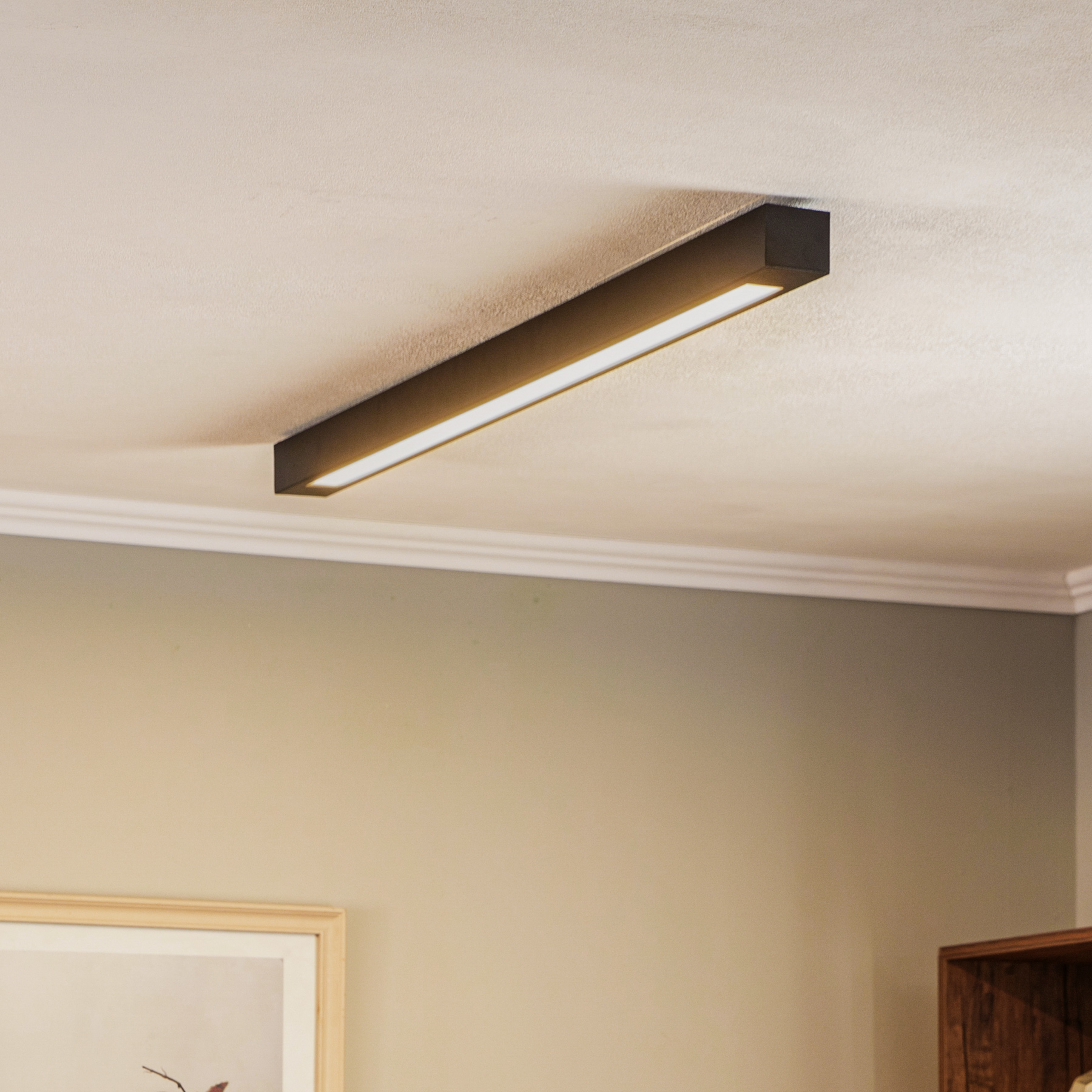 Loftlampe Lungo, sort, længde 124 cm