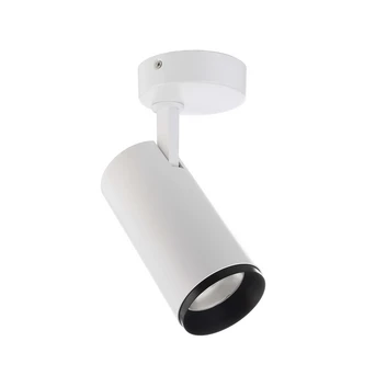 LED-kattovalaisin Lucea, säädettävä, 20 W, valkoinen