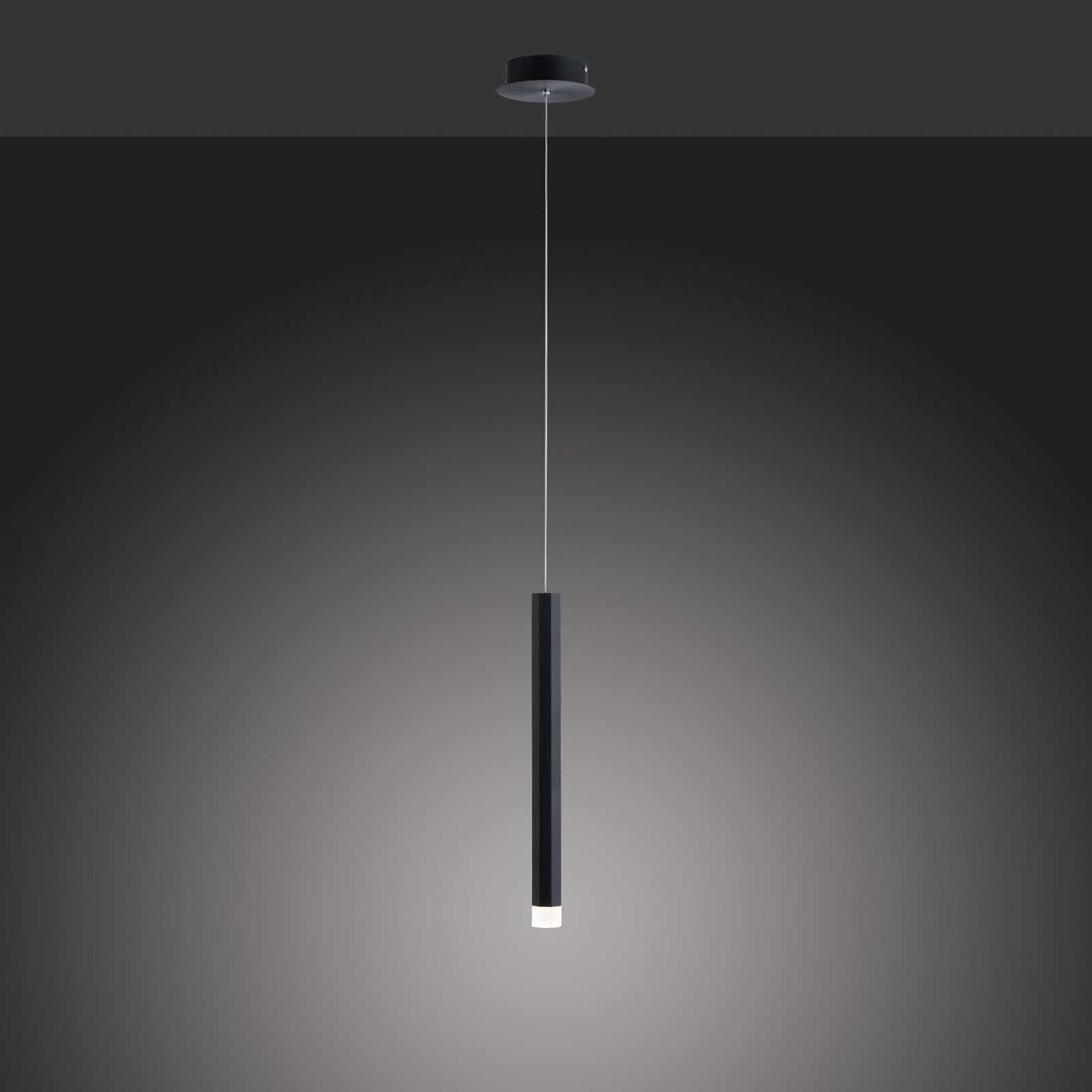 Bruno LED pendant light, 1-bulb