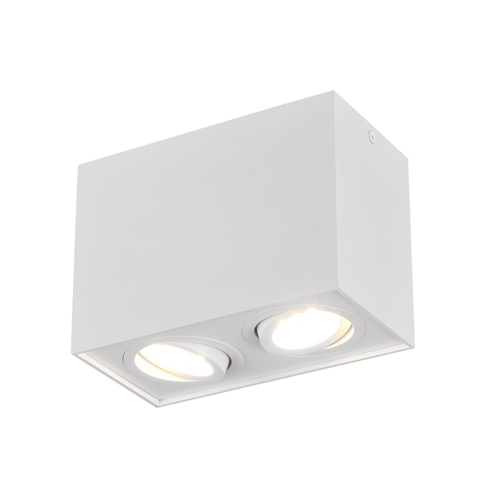 Lámpara de techo Biscuit, 2 luces, blanco