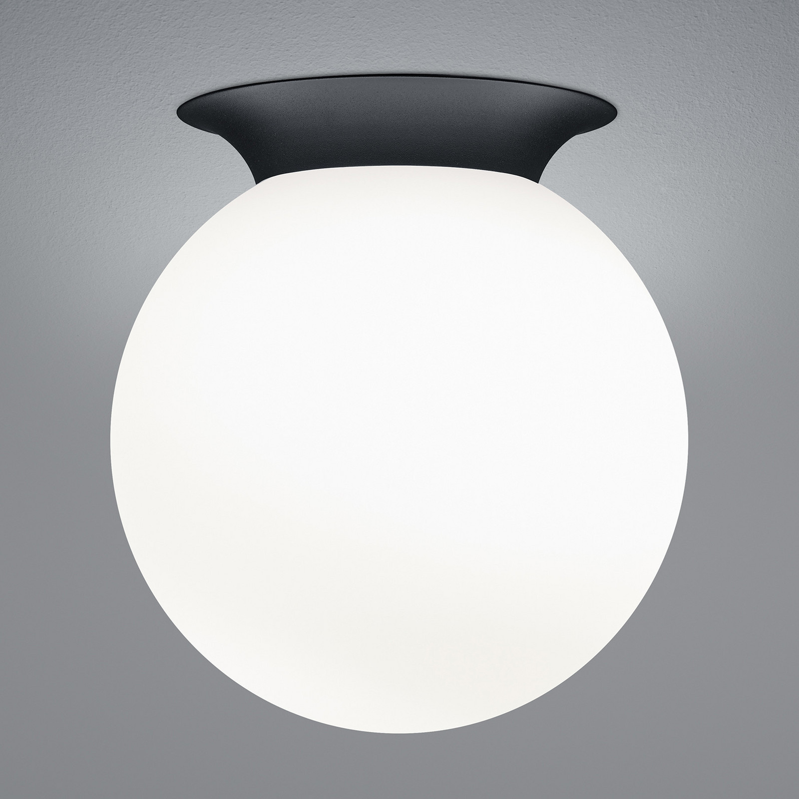HELL Plafonieră Blob abajur globular din sticlă opală Ø 25 cm - Camera de zi / sufragerie - modern - opal negru