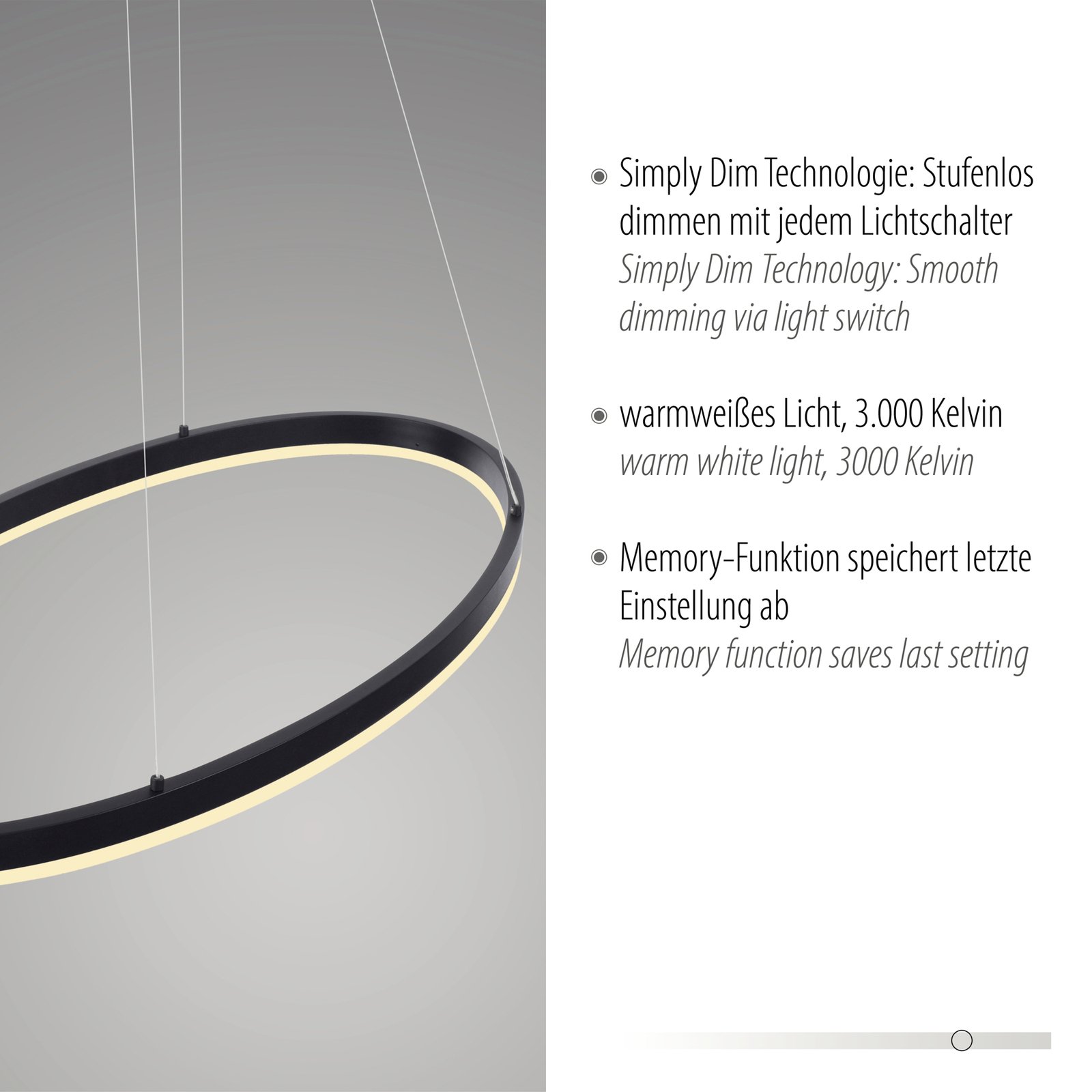 Paul Neuhaus Titus LED-Hängeleuchte, oval 80x39cm