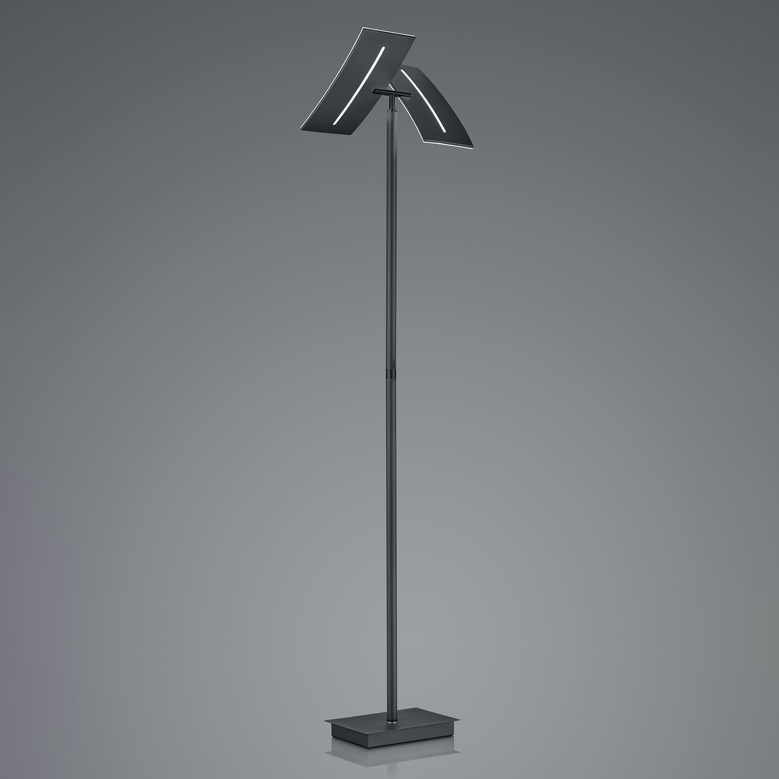 LED floor lamp Dual CCT, dimmable, black