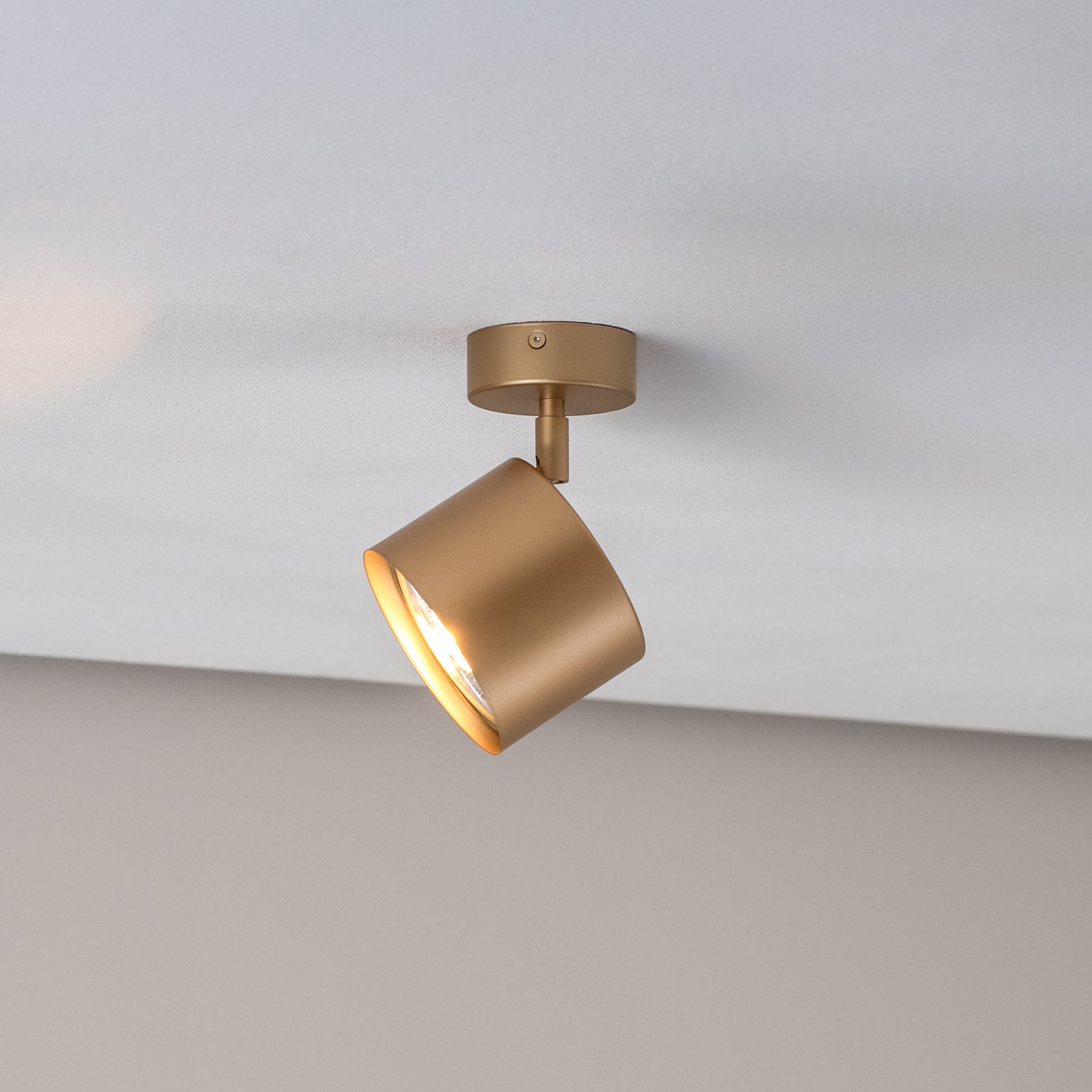 Spot soffitto Chloe regolabile 1 luce, oro