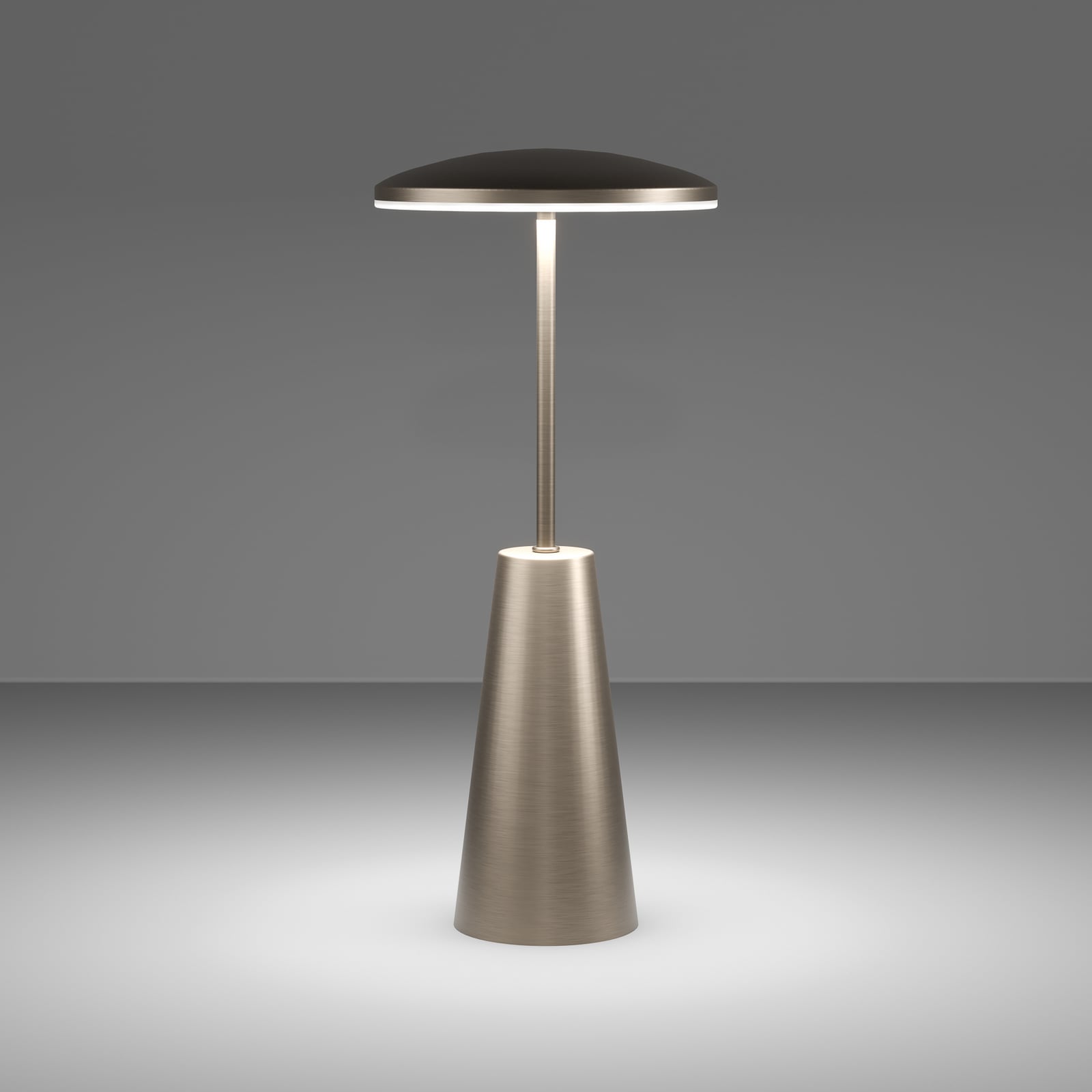 Piccola LED rechargeable light, bronze-coloured, height 28 cm, IP54