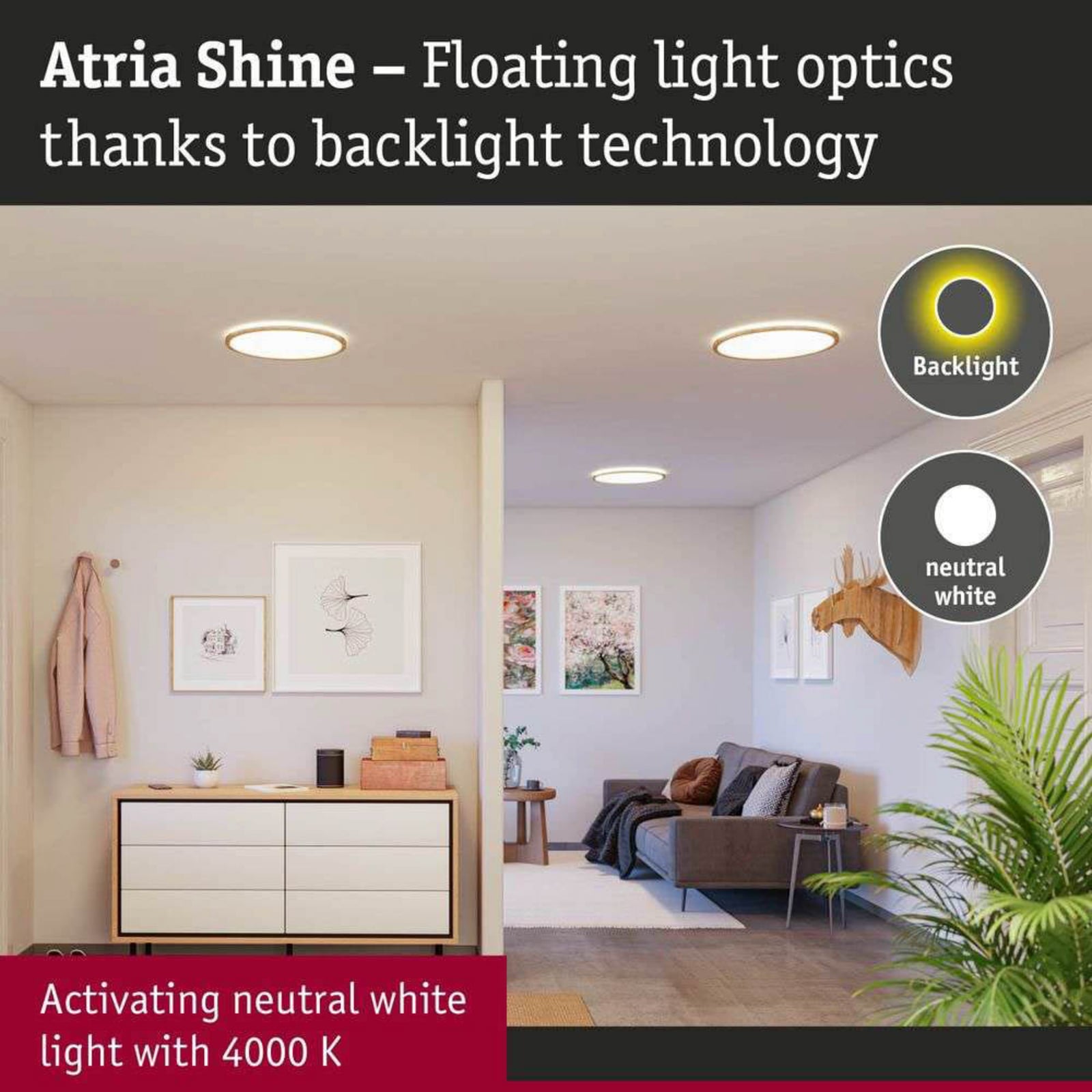 Panneau LED Paulmann Atria Shine Ø 42 cm, finition bois, IP44, 4000 K,