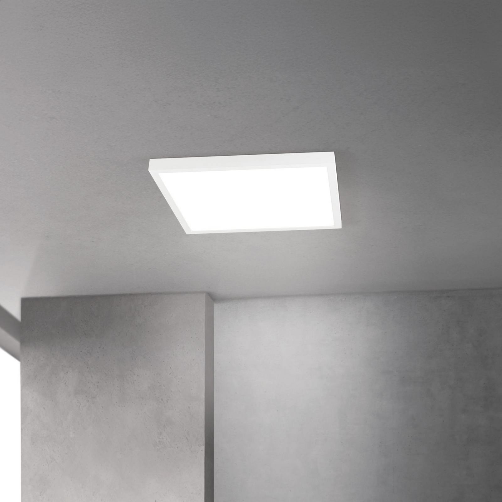 LED ceiling lamp Disc, white Length 40 cm CCT Metal/plastic