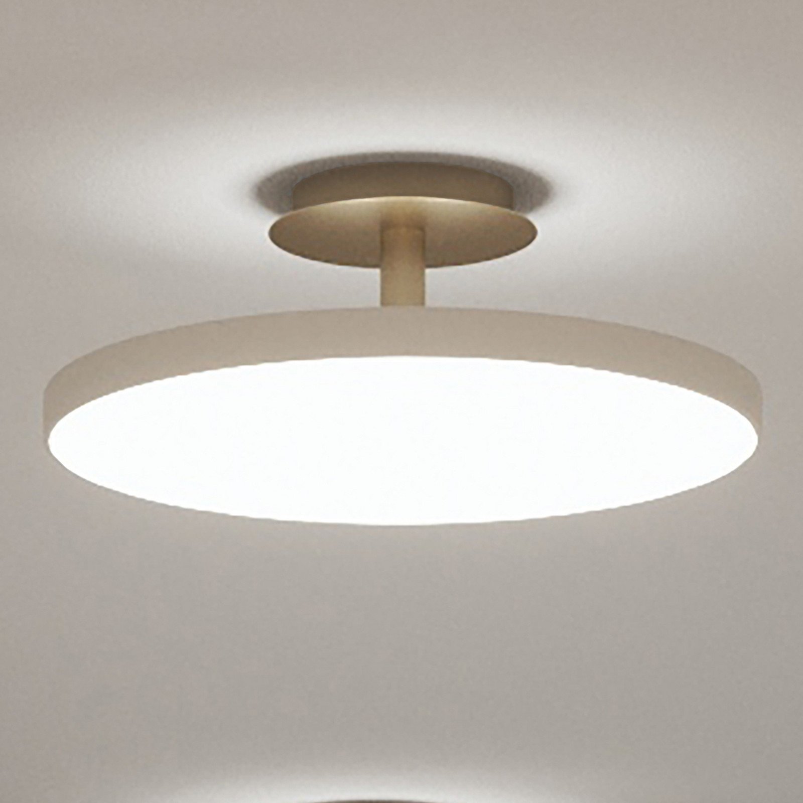 UMAGE plafonieră LED Asteria UP PLUS alb perlat Ø 43 cm CCT - Camera de zi / sufragerie - Design - alb perlat alamă - Metal