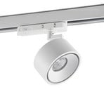 Molto Luce LED 3-faasiline valgusti Magis, valge, 827