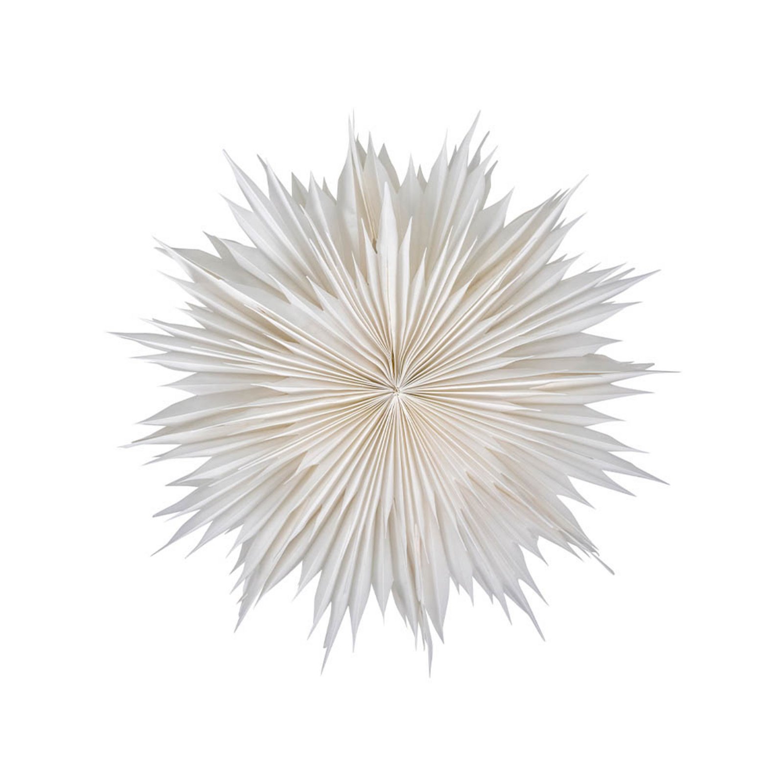 Dust Estrela Branco apagado - House Doctor