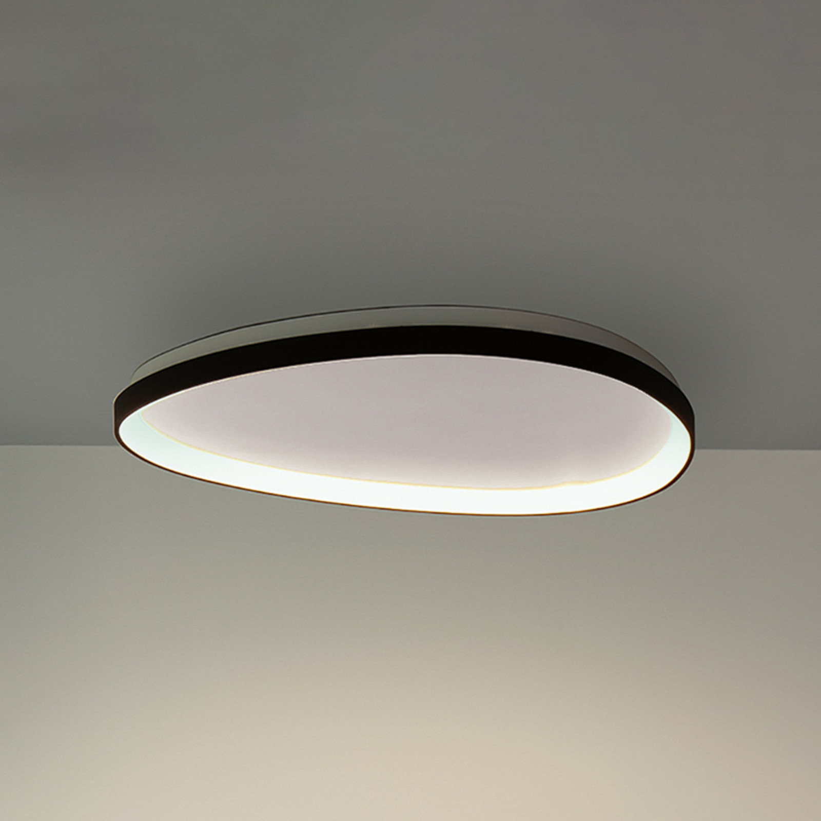Plafonieră LED IDEAL LUX Gemini 61 negru 3000 K DALI/PUSH - Camera de zi / sufragerie - Modern - Metal