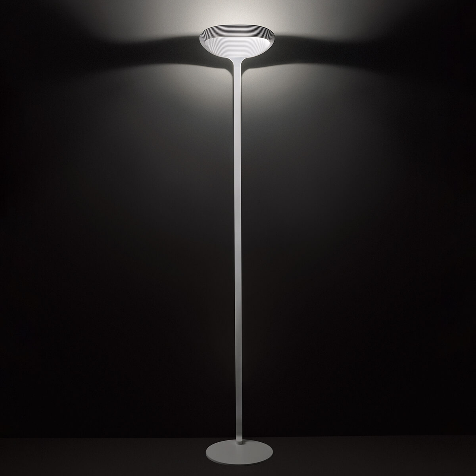 Cini&Nils Sestessa Terra LED floor lamp, dimmer