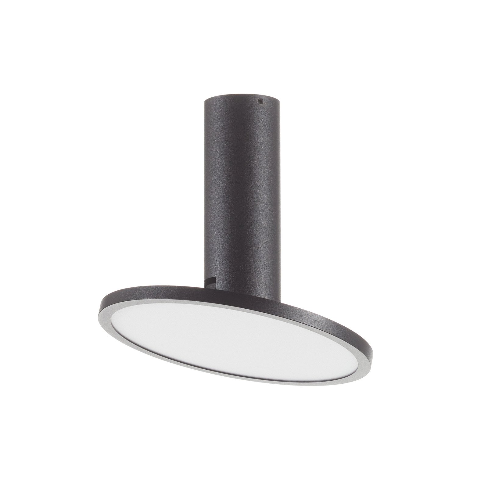 LED ceiling light Morgan, movable, black