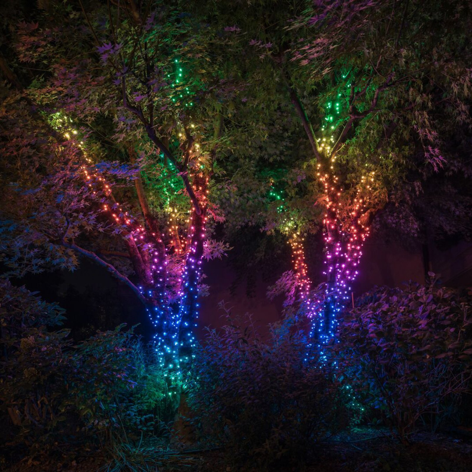 Twinkly LED-Lichterkette RGB, schwarz, IP44