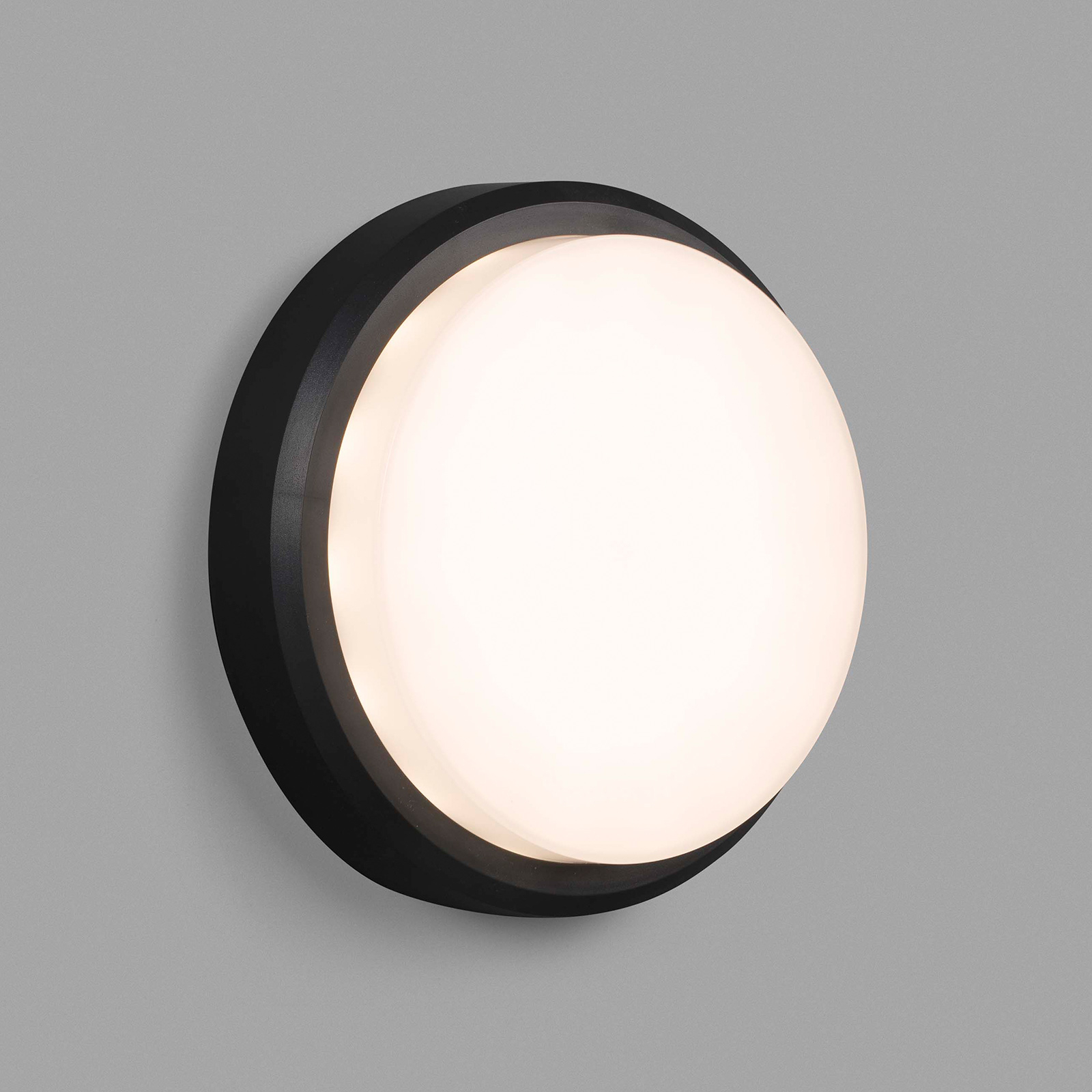 LED-Außenwandleuchte Tom XL, IK10, dunkelgrau/weiß