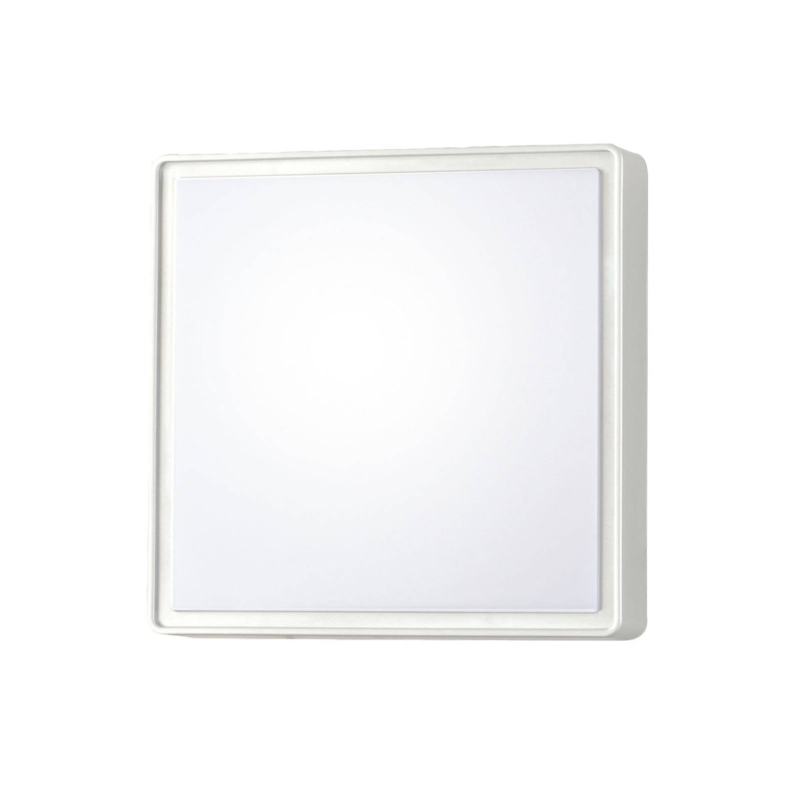 Wandleuchte Oban, 30 cm x 30 cm, 2 x E27, weiß, IP65