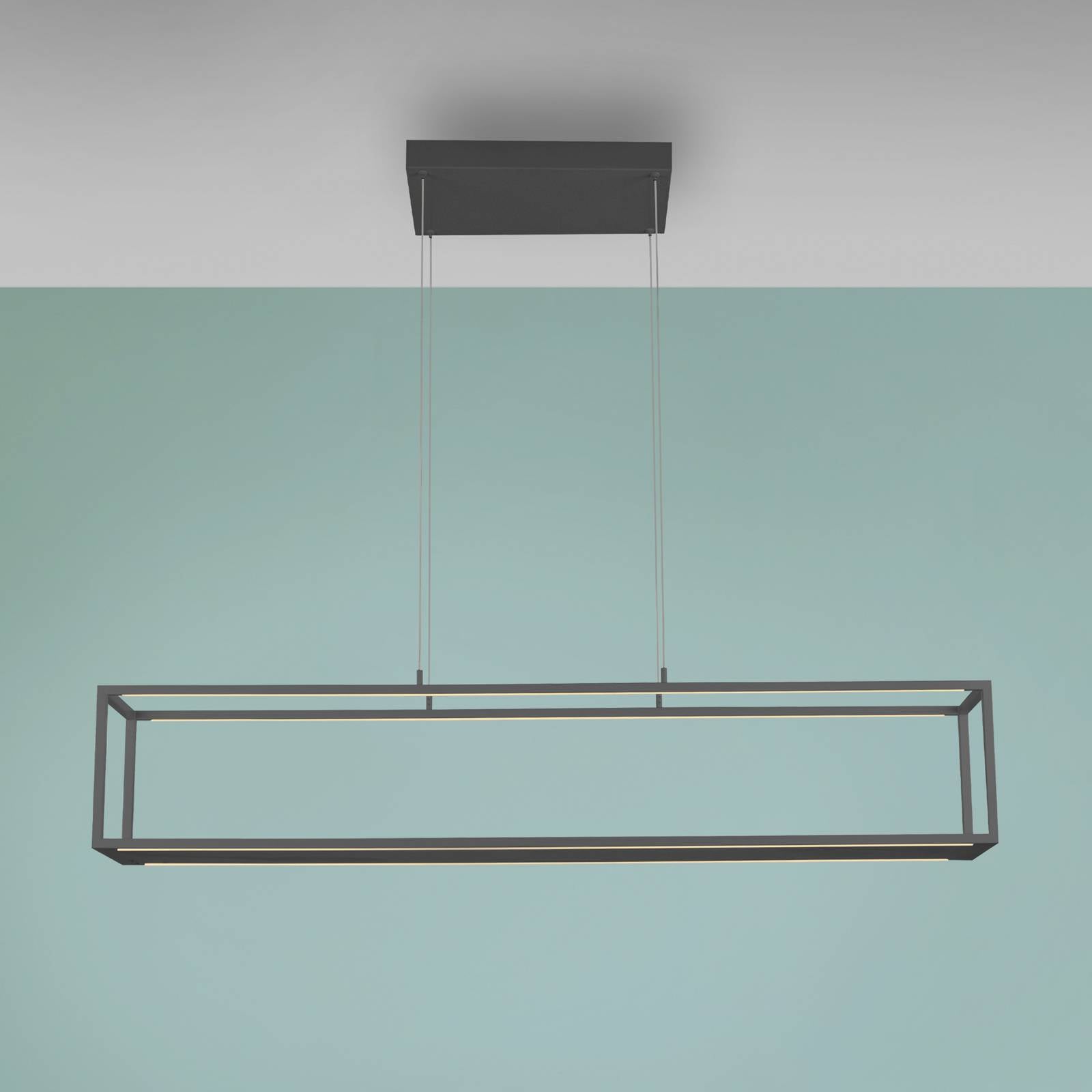 Paul Neuhaus LED hanglamp Conni, zwart, 130 cm, CCT