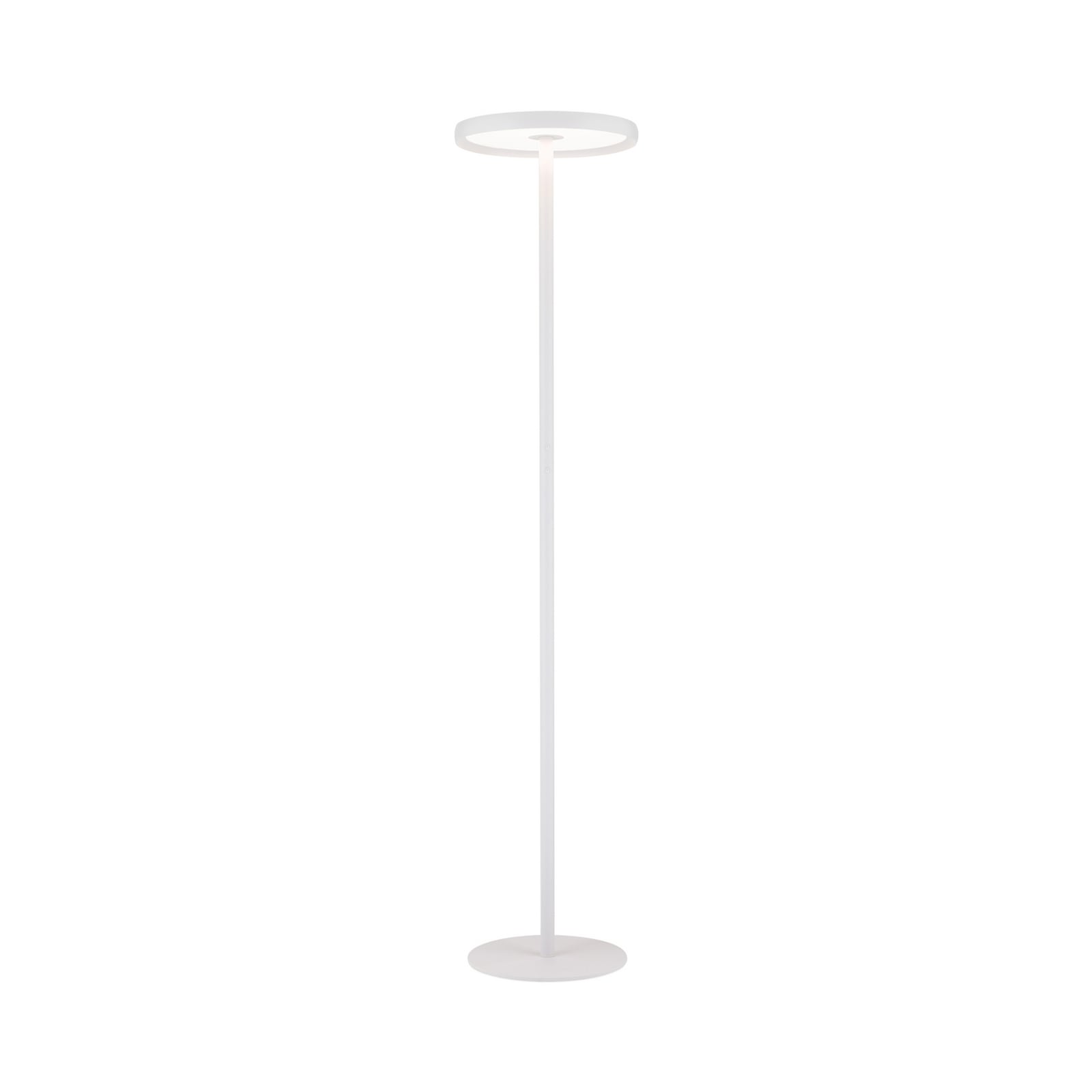 Candeeiro de pé LED KANT, branco, altura 185 cm, CCT, regulável, up/down Candeeiro de pé LED KANT, branco, altura 185 cm, CCT, regulável, up/down