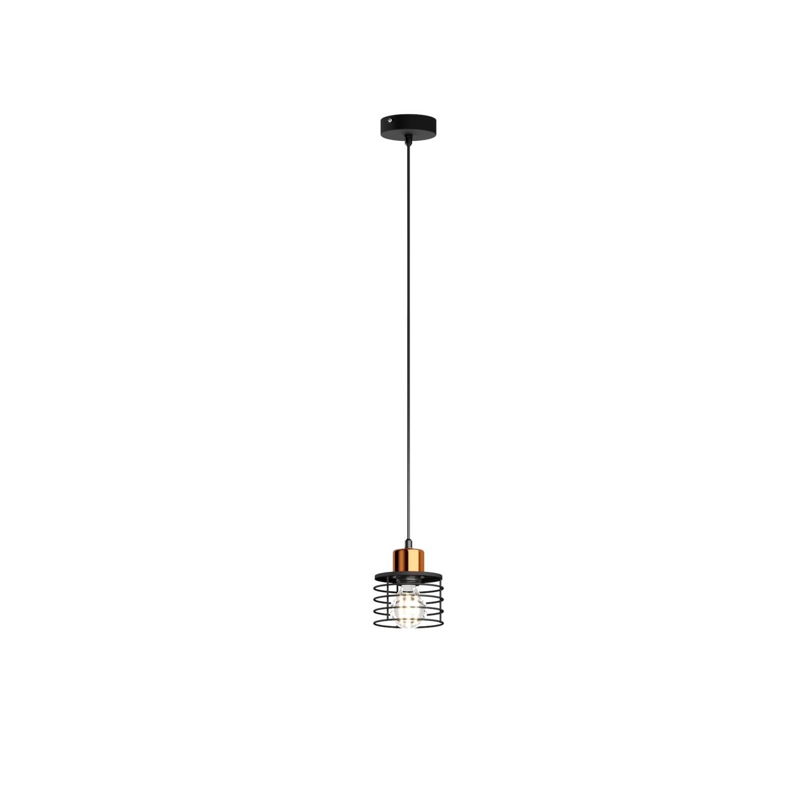 Suspension Edison en noir/cuivré à 1 lampe