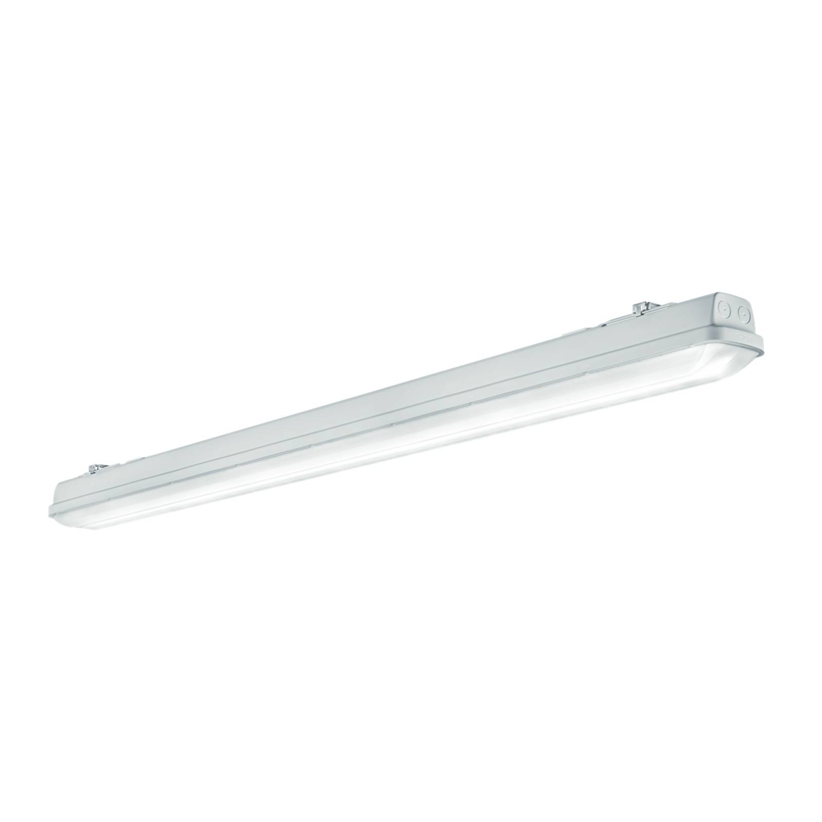Thorn Aquaforce Pro L Feuchtraum QC5 49W dimmbar