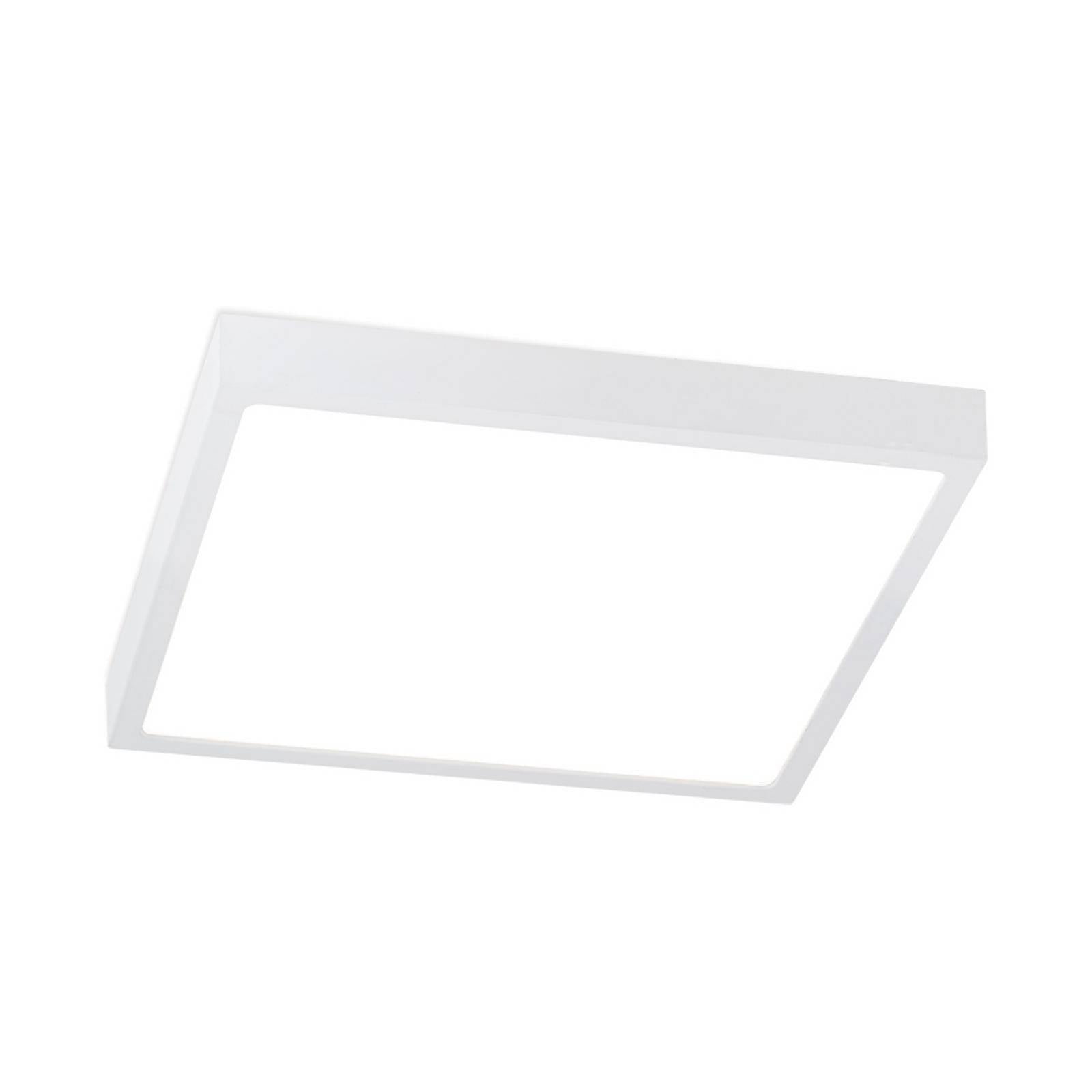 LED-Deckenlampe Disc, weiß, Länge 24 cm, CCT, Metall