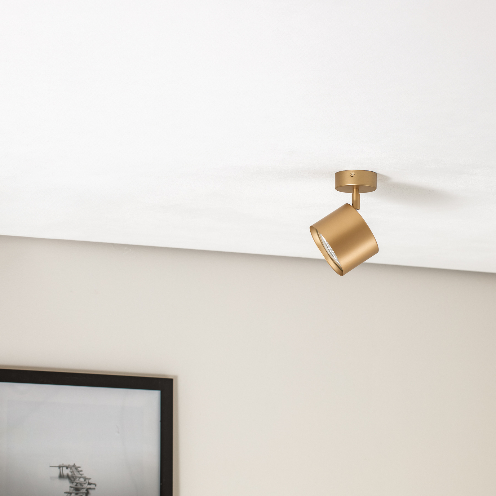 Takspotlight Chloe justerbar 1 lampa, guld