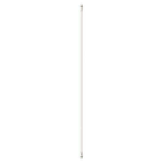 Philips G13 T8 LED bulb 20W 151.4cm 6,500K | Lights.co.uk
