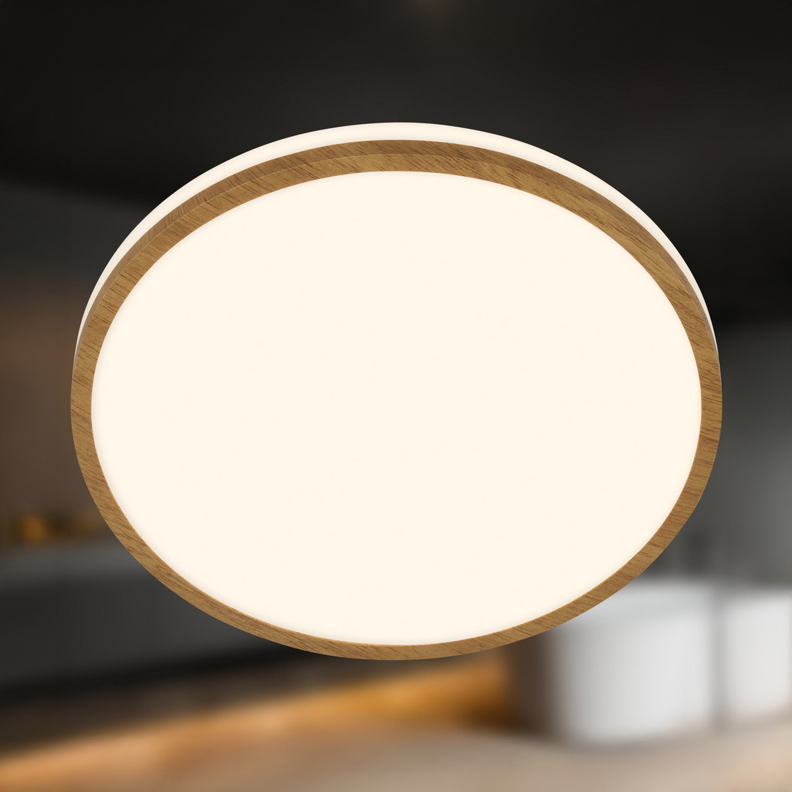 Stropné LED svetlo Acorus, Ø 28 cm, biela/farba dreva, IP44