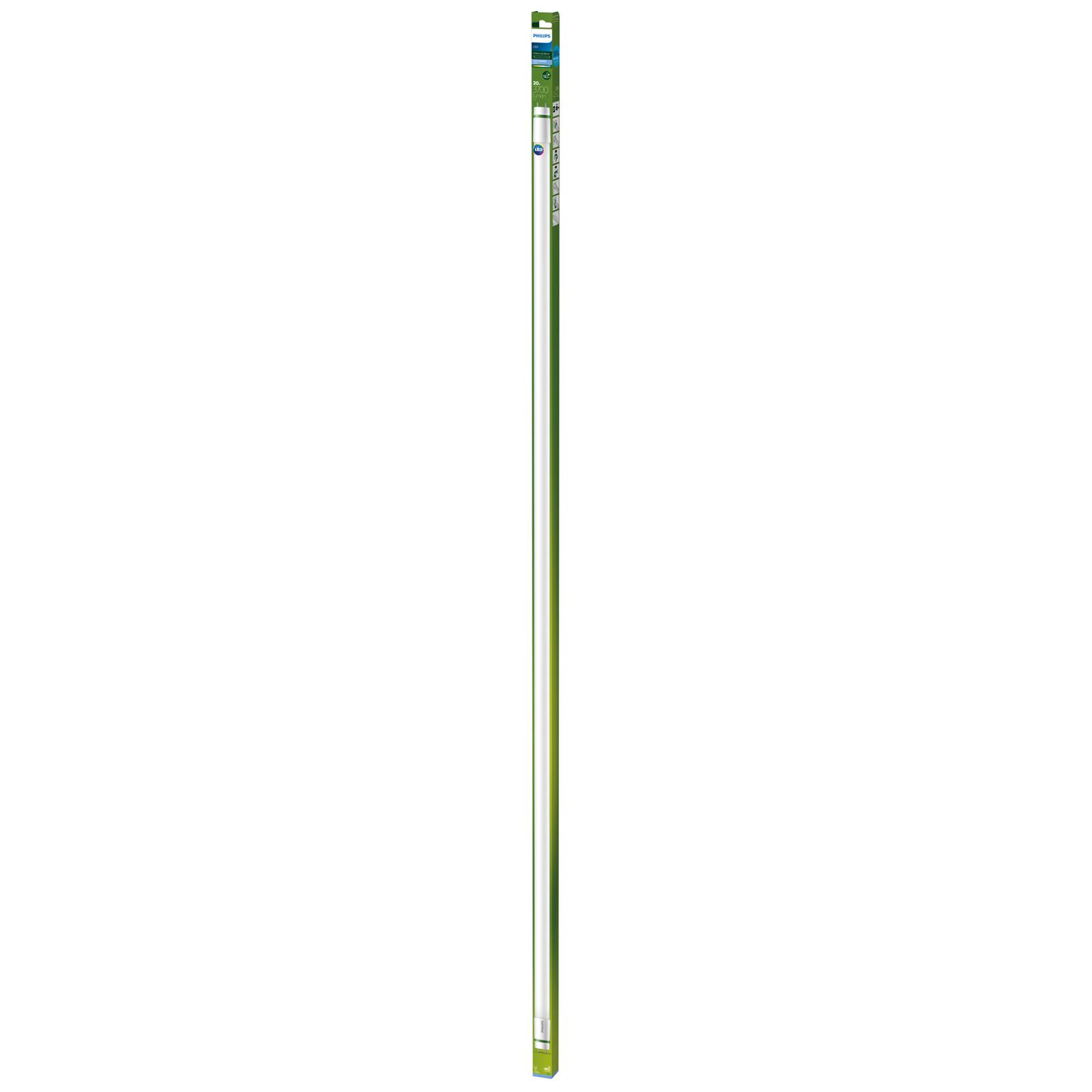 Żarówka rurkowa LED Philips G13 T8 20W 151,4cm 6,500K