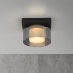 Paul Neuhaus LED ceiling lamp Rika, black, length 15 cm