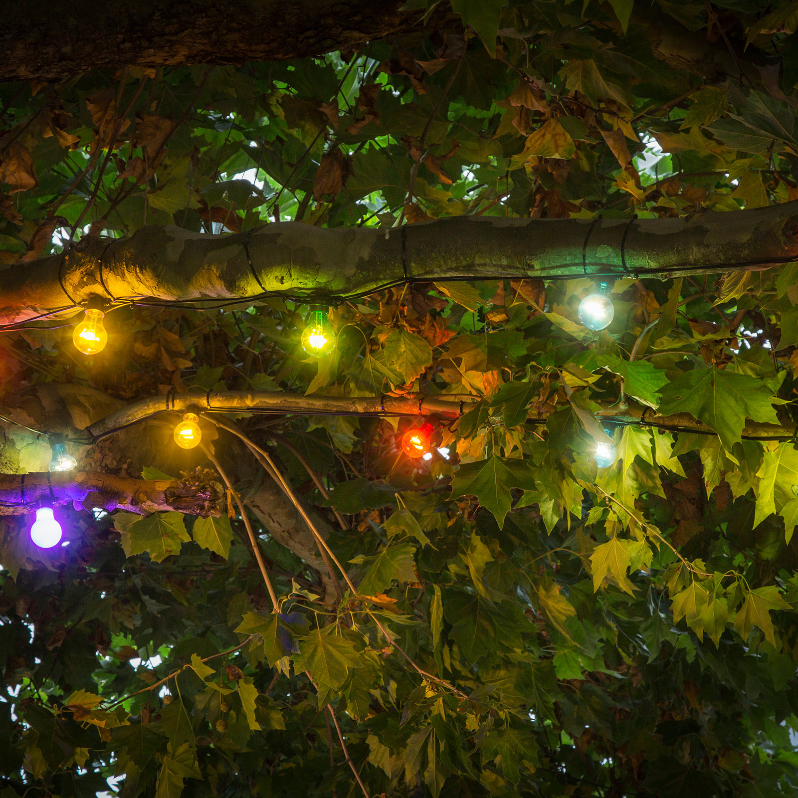 Ljusslingor för ölträdgård 20 färgglada LED-lampor
