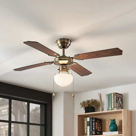 Ventilatore da soffitto Joulin, luce, rovere