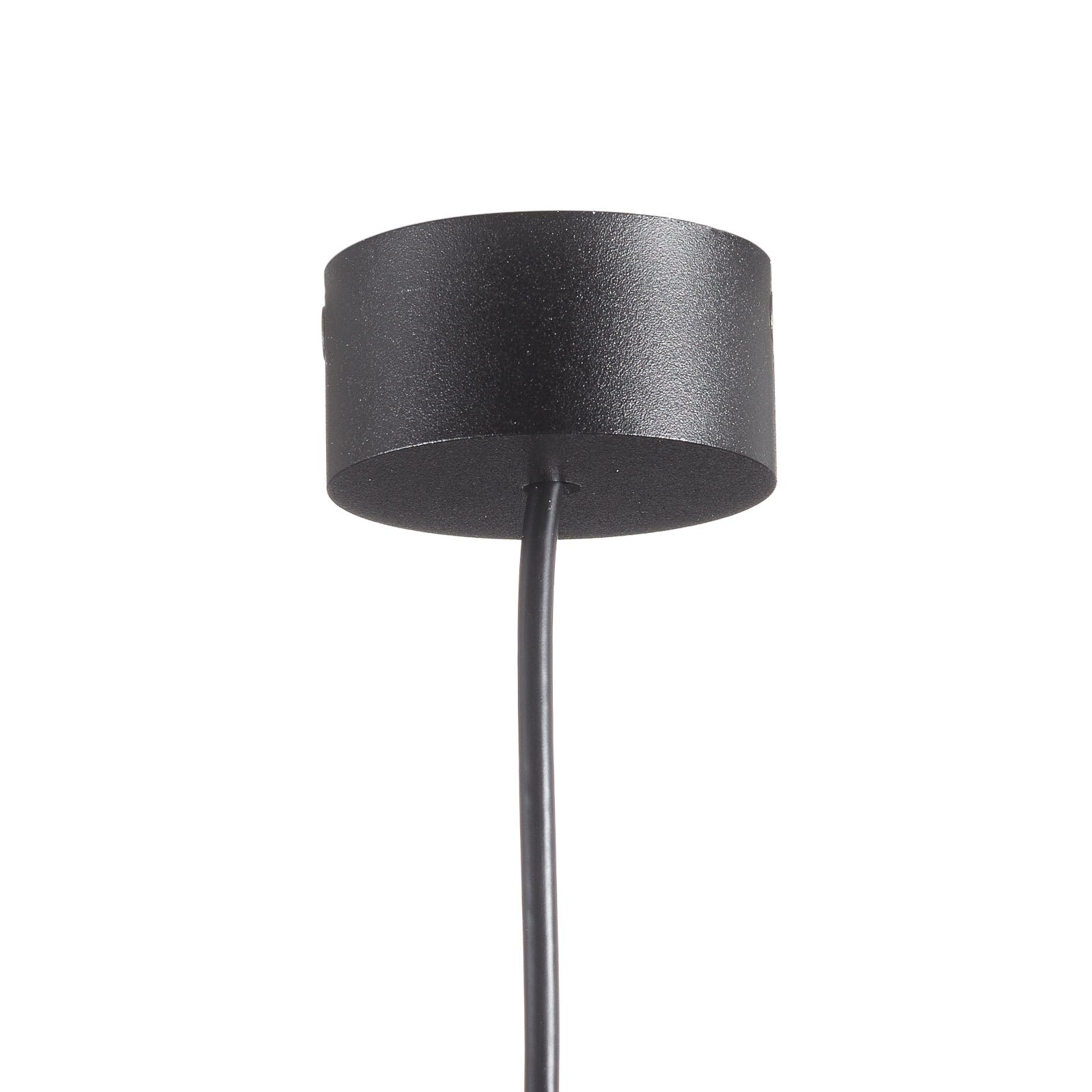 Leo 2 hanglamp met rookglas Ø 9,8 cm