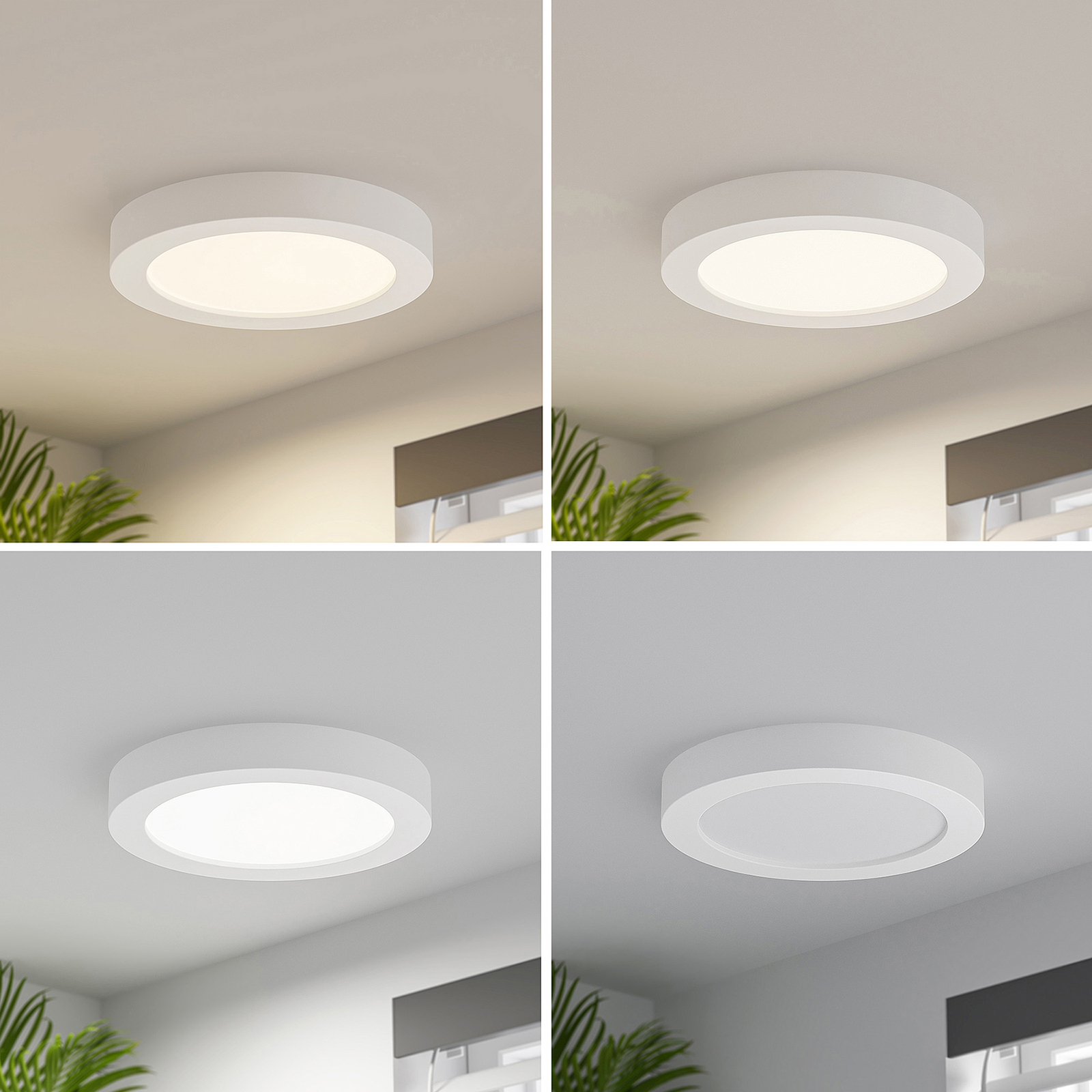 Prios LED ceiling lamp Edwina, white, 24.5 cm, 10pcs, dimmable
