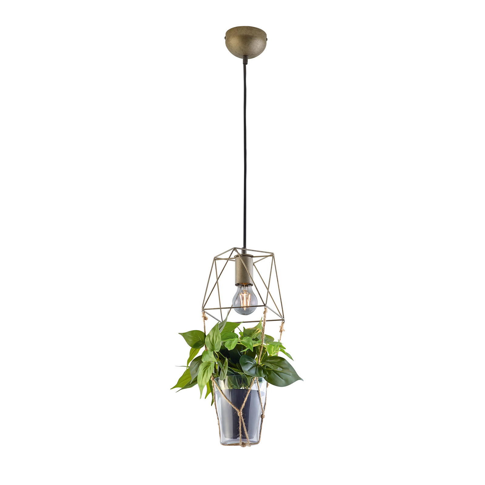Vakman Authenticatie Perfect Hanglamp Plant, 1-lamp glazen inzet v. decoratie | Lampen24.be