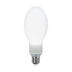 LED lempa E27 18W 6500 K 3000 liumenų