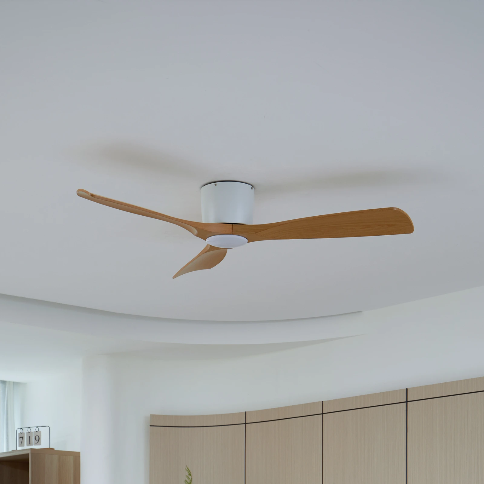 Lampe D'Appoint 1T Pour Ventilateur Plafond CasaFan - Abat-jour Inclus, 230V, 20cm