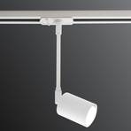 Explore spotlight for Link track lighting system, white