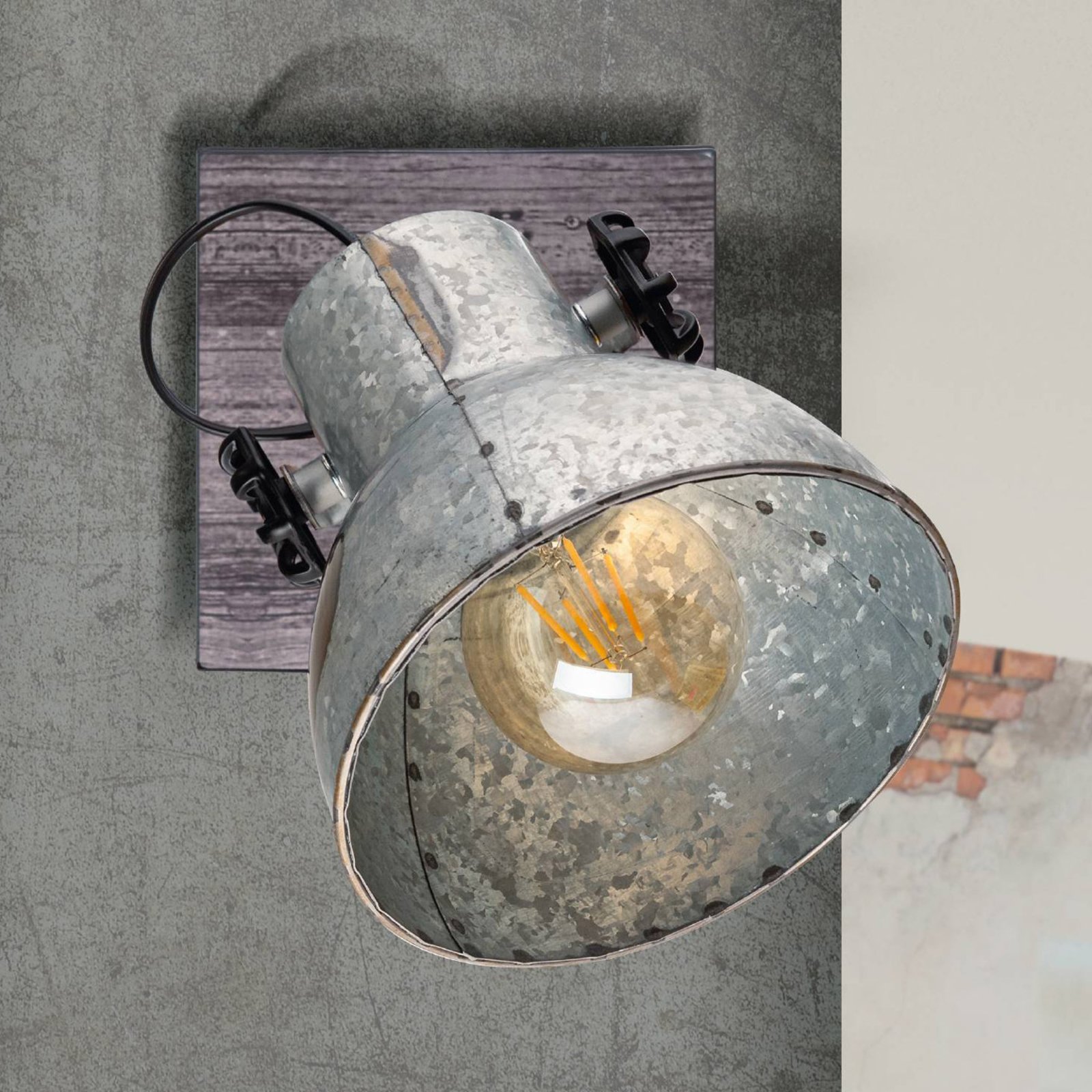 vacuüm tofu Werkloos Plafondlamp Barnstaple industrieel design 1-lamp | Lampen24.be