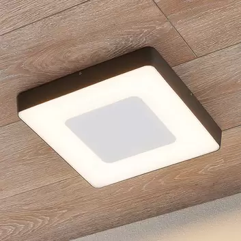 Honwell plafonnier led à détecteur de mouvement sans fil à piles salle de  bain eclairage lampe de plafond pour escalier, couloir, garde-manger, -  Conforama