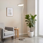 LED-Stehlampe Velara nickelfarben Höhe 175 cm, Metall Dimmer