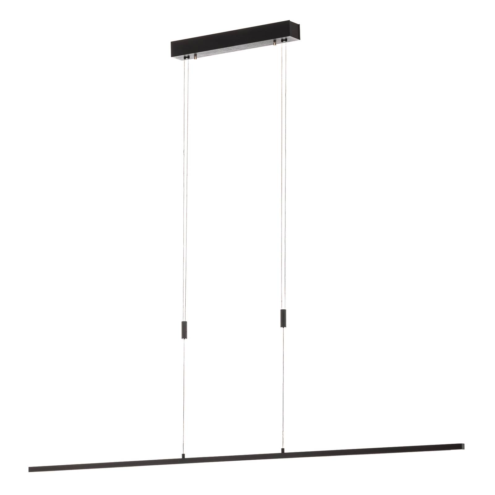 Quitani LED-Pendelleuchte Tolu, schwarz, Länge 138 cm günstig online kaufen