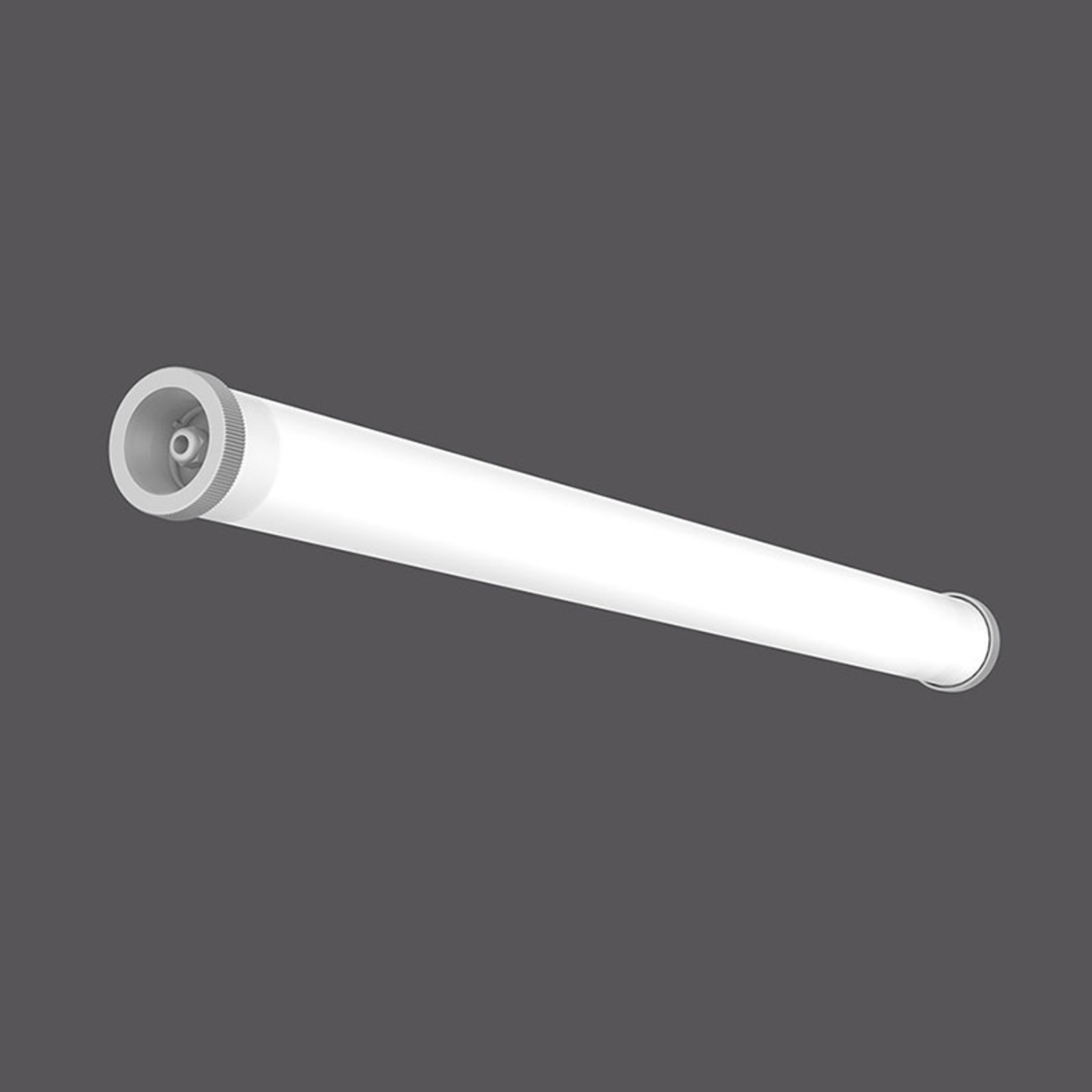 RZB Planox Tube Farm LED moisture-proof light